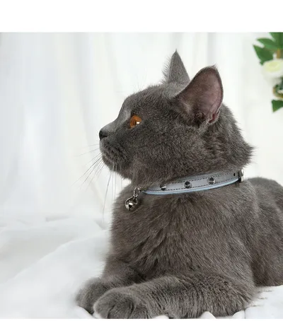 Anti bite dog collar