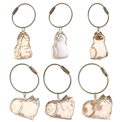 6-Piece Cat Hair Memorial Pendant Set - Pet Keepsake - Soft Fur Capsule Pendant, Portable Keychain
