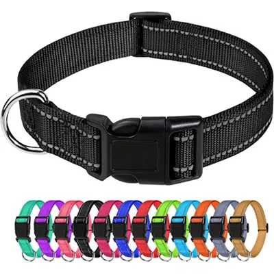 Basics Reflective Polyester Dog Collar, Adjustable Length, Quick-Release Buckle For Easy On Off