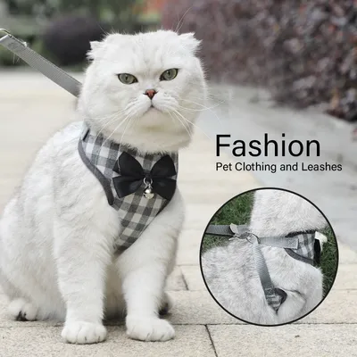 Cat Traction Rope Out Anti Slip Vest Type Adjustable Strap