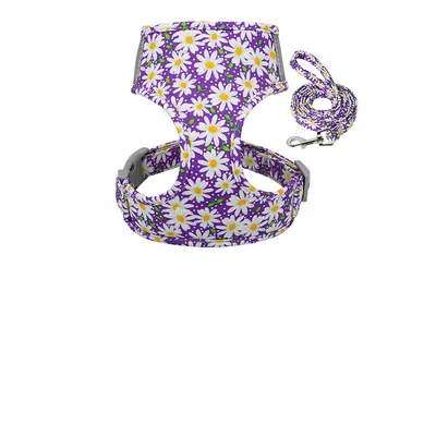 Collar and chest strap