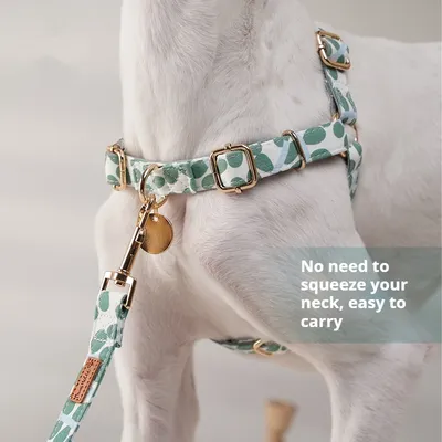 Chest Strap Explosion-proof Outdoor Pet Hand Holding Rope