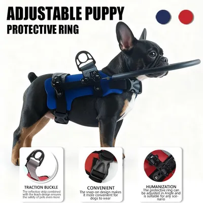 Amazon Bestseller Anti-Collision Collar With Leash For Blind Pets