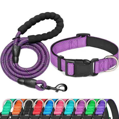 Dog Leash Set Extended And Thickened For Teddy Golden Retriever