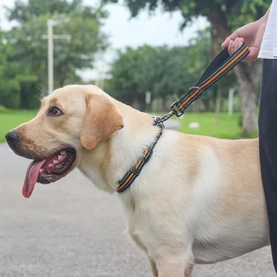 Big Dog Short Traction Rope Step Training