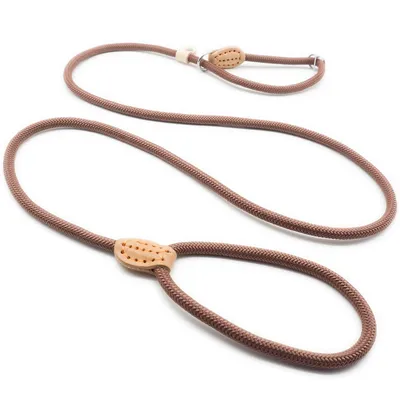 Automatically tighten telescopic reflective dog leash