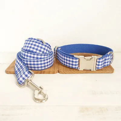 Blue checked pet leash
