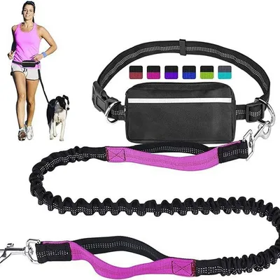 Reflective Dog Running Leash Set Night Running Waist Pack