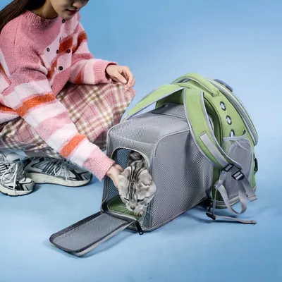 Portable Pet Carrier With Shoulder Straps