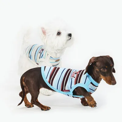Dog Clothes Cool Clothes Small And Medium Size