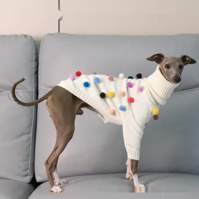 New Italian Greyhound Whippet Christmas Sweater