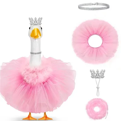 Pet Goose Mini 4-Piece Set Crown Necklace And Tutu Dress Ensemble