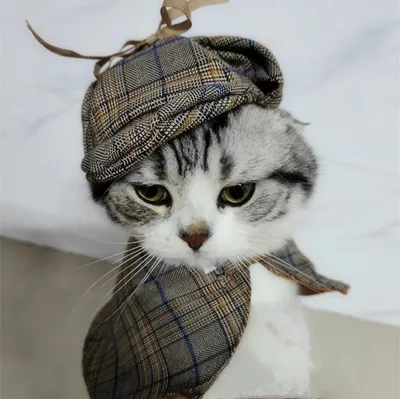Sleeveless Clothing, Detective Hat And Cloak Set For Pets