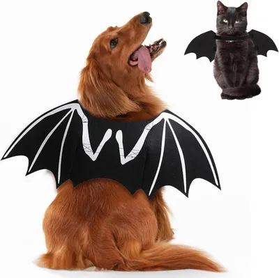 Dog Halloween Costumes Dog Bat Costume Cool Luminous Skeleton Bone Bat Wings Pets Cosplay Costumes Dress Up Apparel For Small Medium Large Cats And Dogs