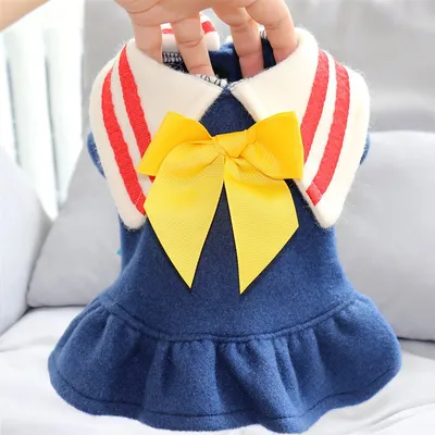 Autumn And Winter Dress Pet Princess Dress Teddy Bichon Schnauzer Yorkshire Dog Small Dog Clothes