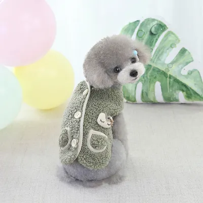 Autumn And Winter Fashion Pet Teddy Velvet Vest Cute