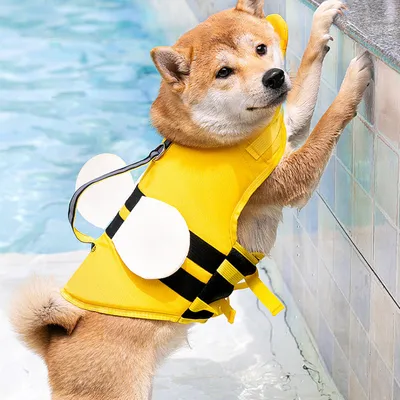 Animal-shaped Bee Dog Life Jacket Medium