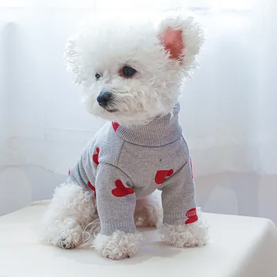 Autumn And Winter Comfortable Home Letter Dog Clothes