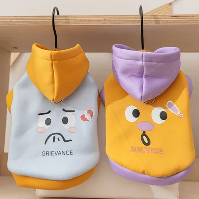 Autumn And Winter Korean Version New Dog Cute Cartoon Little Bear Sportswear Cat Teddy Pet Clothing