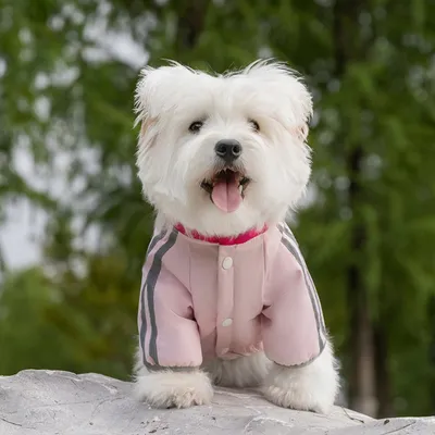 Autumn And Winter Dog Clothing Small And Medium Sized Dog West Highland Bichon Frise Down Jacket With Fleece For Warmth, Pet Four Legged Cotton Jacket