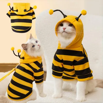 Cute Cat Bee Costume - Pet Halloween Apparel Bumble Bee Cosplay Clothes Antennae, Soft Warm Fleece Hoodie For Cats, Kittens, And Small Dogs, Perfect For Festival Party And Photo Shoot