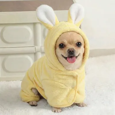 Dog Bathrobe Super Absorbent Towel For Small Dogs Cats Fast Drying Dog Robe Coat With Hood Puppy Cat Bath Towel Wrap Pet Grooming Supplies After Shower