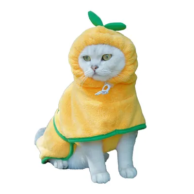 Dog Bathrobe Towel, Cat Bathrobe Microfiber Fast Drying Absorbent Towel For Puppy Small Medium Large Dog Cat