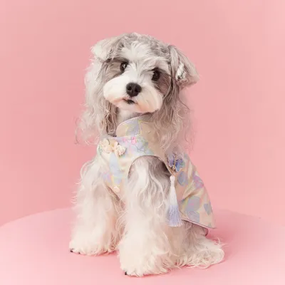 A Gust Of Neo-Chinese Wind Sleeveless Cheongsam Dress Teddy Schnauzer Bichon Pet Vest Waistcoat