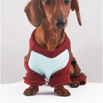 Autumn And Winter Dog Cat Pet Thermal Grain Velvet Band Traction