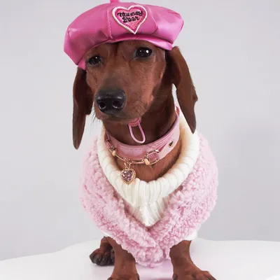 Autumn And Winter Dog Cat Pet Clothes Lambswool Vest