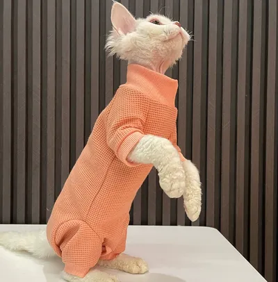 Sphynx Cat Cotton Four-Legged Jumpsuit Pajamas Clothes For Hairless Cats