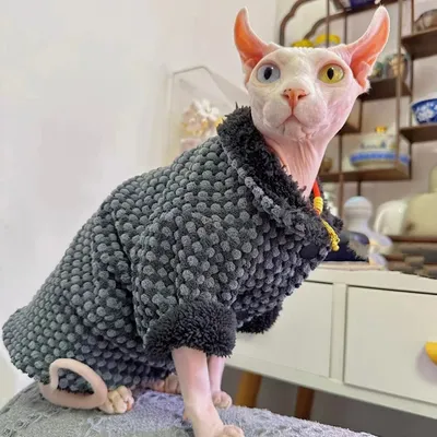 Hairless Cat Clothing Dirt-resistant Thin Fleece Jacket