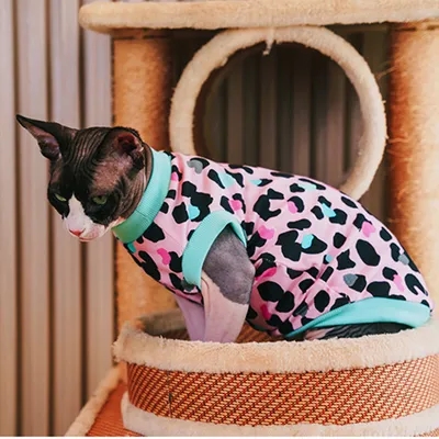 Hairless cat pure cotton shirt, leopard print pattern