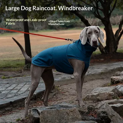 Pet Puffer Jacket Waterproof And Dustproof High-Neck Raincoat For Dogs