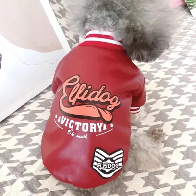 Dog Clothes, Leather Clothes, Small Dogs, Cotton-padded Pets