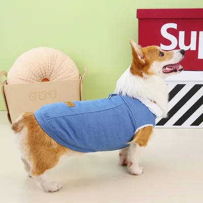 Corgi Dog Clothes Denim Cotton Coat