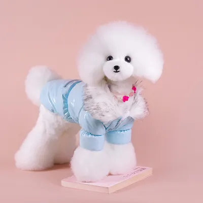 Warm Pet Autumn And Winter Thickening Puppy Down Jacket