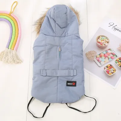 Autumn/winter wear for small dogs