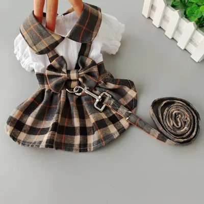Dog Dresses For Outdoor Walks With A Leash