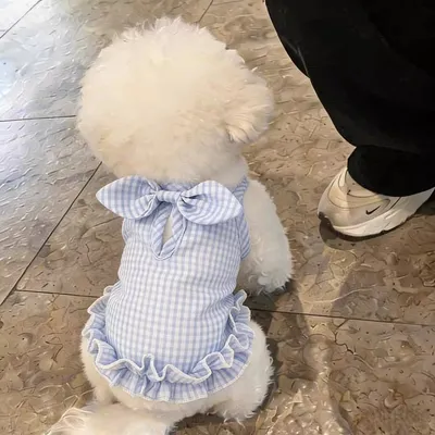 Cat Clothes Summer Thin Stylish Dress