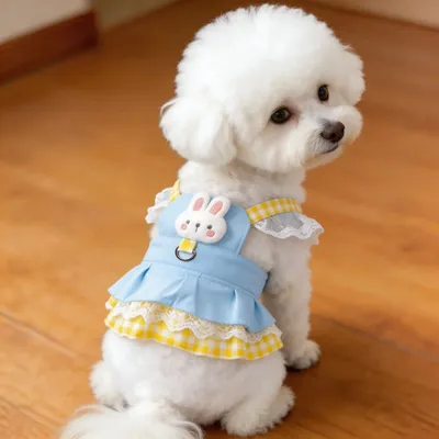 Pet Clothing With Leash Attachment Cute And Sweet Princess-style Floral Strap Dress