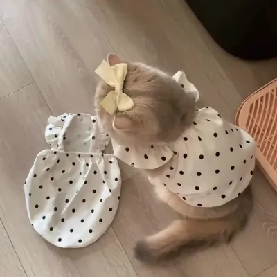 Pet Thin Breathable Sun-protective Dress