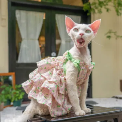 Sphynx Cat Summer  Floral With Green Ruffles Tiered Dress With Bow Straps