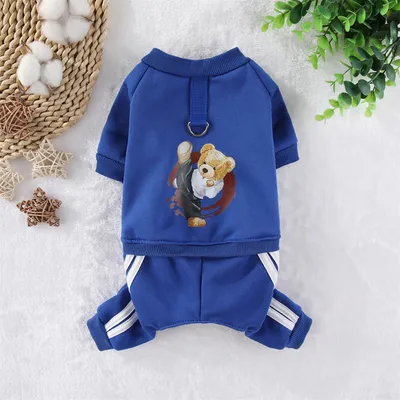 Pet Fleece Kung Fu Bear Dog Clothes