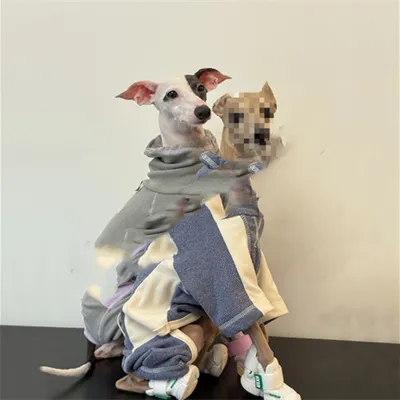 Dog Clothes AutumnWinter Thickened Warm Simple Apparel Sporty Style Four-Leg Base Layer