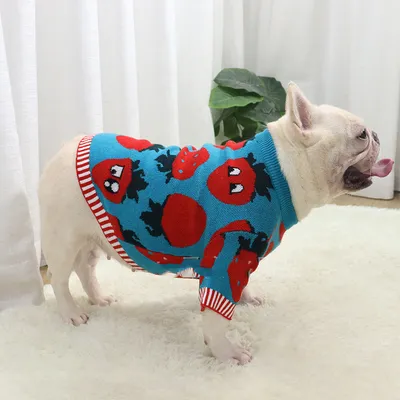 Canine Sweater Strawberry Cartoon Short Fat Dog