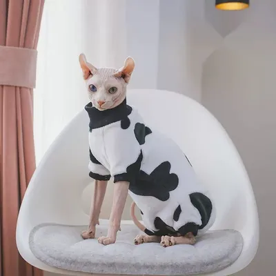 Hairless Cat Warmth-Enhancing Thickened Soft Pure Cotton Bottoming Shirt With Cuffs