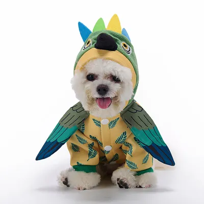 Halloween Party Dog Costume Pet Christmas