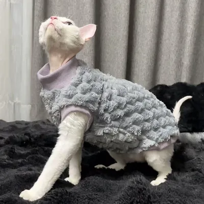 Hairless Cat Warm-Keeping Thickened Soft Coral Fleece Long-Sleeve