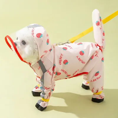 Teddy Bichon Medium- And Small-Breed Dog Rain Cape With Attached Feet